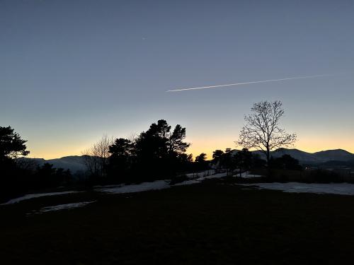 IMG_7278.JPG